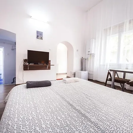 Central Studio Apartman *